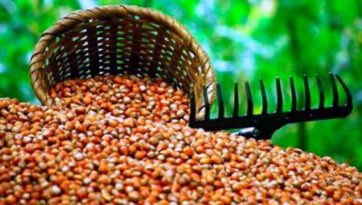 “8 TL Gübre Desteğinin Hiçbir Anlamı Kalmadı”