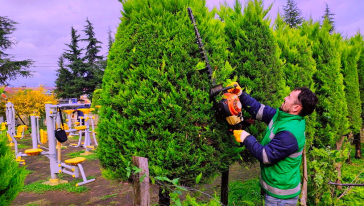 Park ve Bahçelerde Mevsimsel Ağaç Budama Çalışmaları Sürüyor