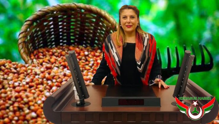 “4 Dolar Kırmızı Çizgimizdir”