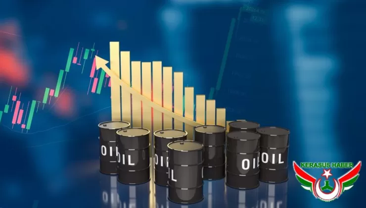 Petrol Fiyatlarındaki Değişimler Türkiye Ekonomisini Nasıl Etkiliyor?
