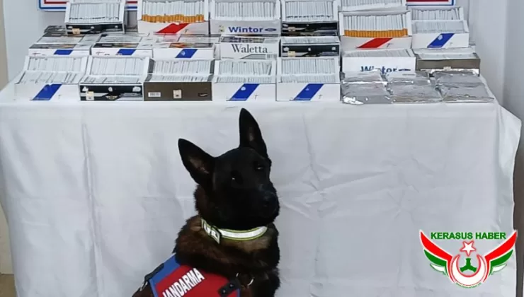 Jandarma’dan; Espiye’de Kaçak Sigara Operasyonu