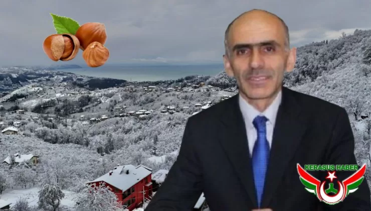 Başkan Karan, Zamanında Yağan Kardan Memnun