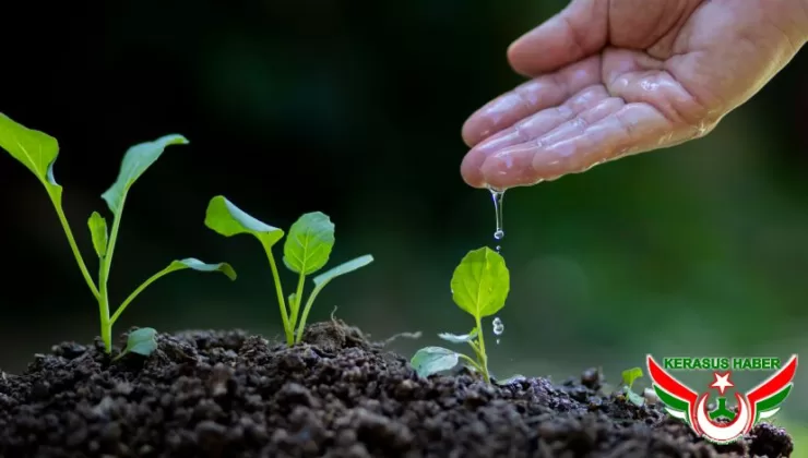 “Ormanları ve Su Varlıklarını Korumak Artık Bir Tercih Değil, Zorunluluk”