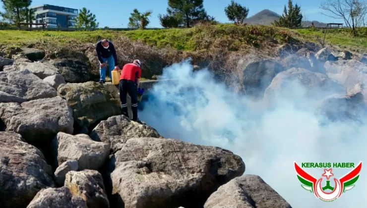 Sivrisinek ve Karasinekler Üreme Kaynağında Kurutuluyor