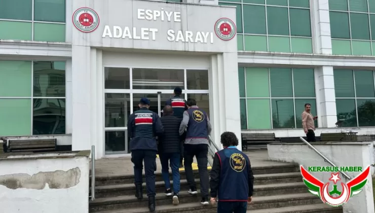 Espiye’de Cezaevi Firarisi Yakalandı