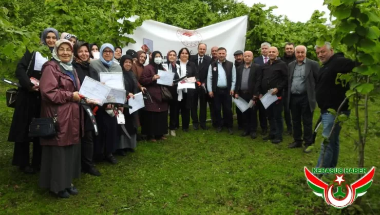 Espiye’de Uygulamalı Fındık Budama Kursu