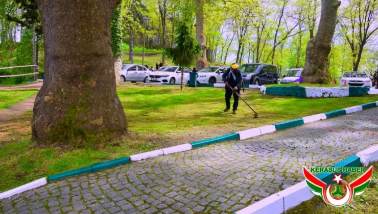 Giresun Kalesi, Festivale Hazırlanıyor