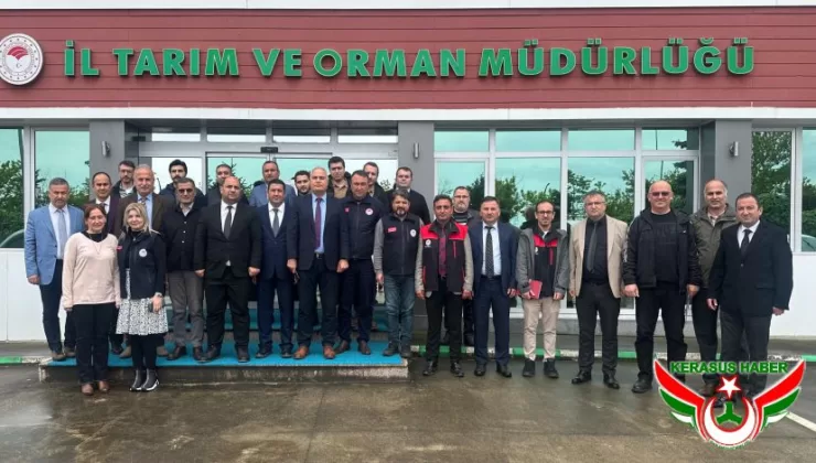 Giresun’daki Don Zararı Yerinde İncelendi
