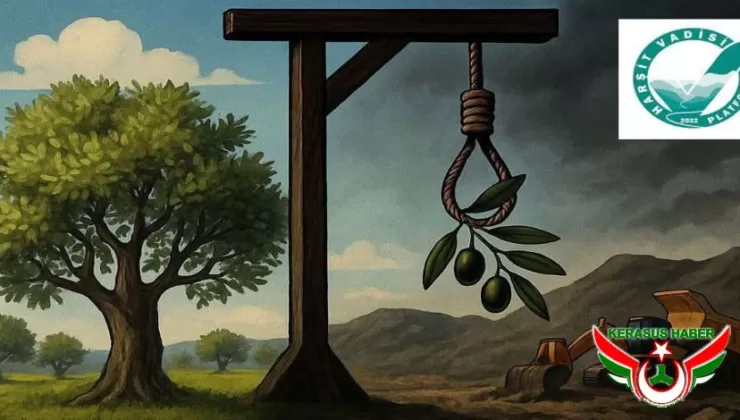 Çetinkaya: “Bugün Zeytin, Yarın Fındık Alanları Tehlike Altında”