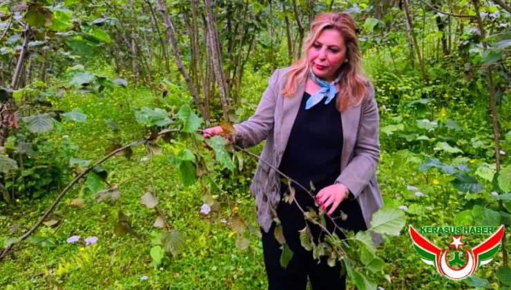 “Destek Miktarı Açıklanmalı, Üreticinin Zararı Karşılanmalı”