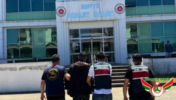 Jandarma’dan; Espiye’de 1 Tutuklama
