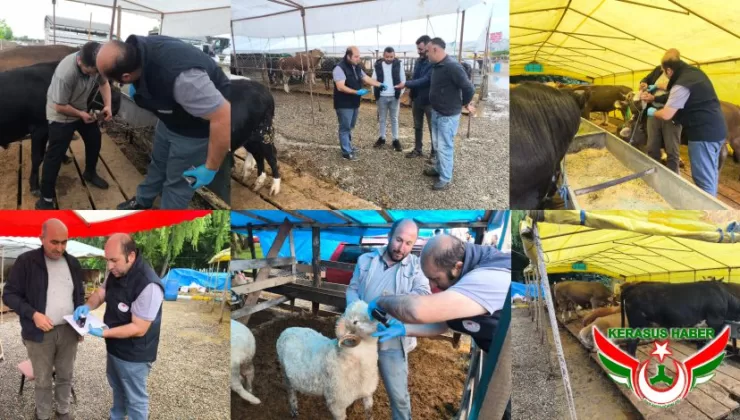 Kurban Satış Yerlerinde Gerekli Tedbirler Alınıyor