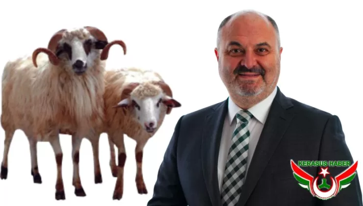 AKP’li Yılmaz’dan, Kurban Bayramı Mesajı
