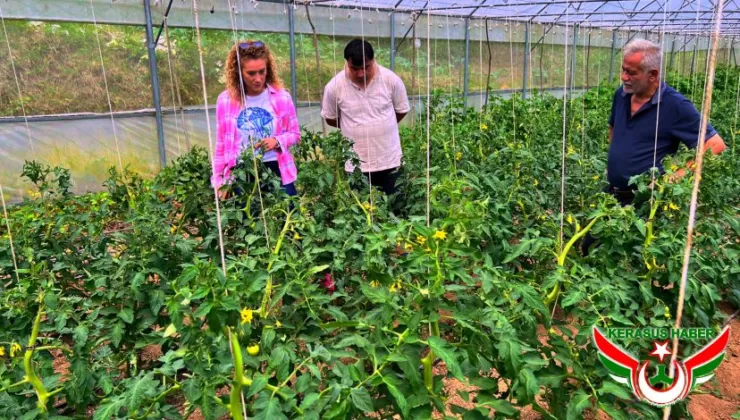 Örtüaltı Entegre ve Kontrollü Ürün Yönetimi Projesi