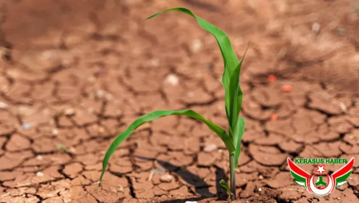 “Toprağı İyileştirmek; Doğayı ve Geleceği Korumaktır”