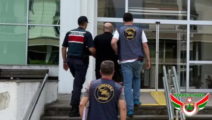 Jandarma’dan; Espiye’de 1 Tutuklama