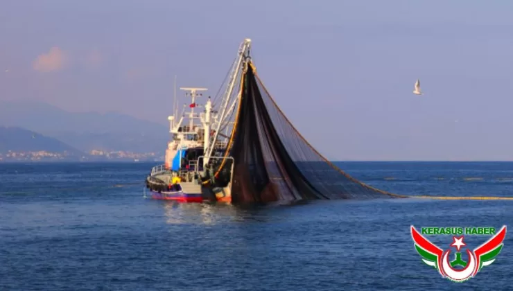 Denizlerde Avlanma Sezonu 1 Eylül’de Başlıyor