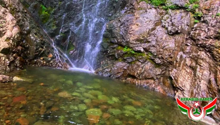 Batlama Vadisi Tatlı Su Göleti Projesi, İhale Aşamasında