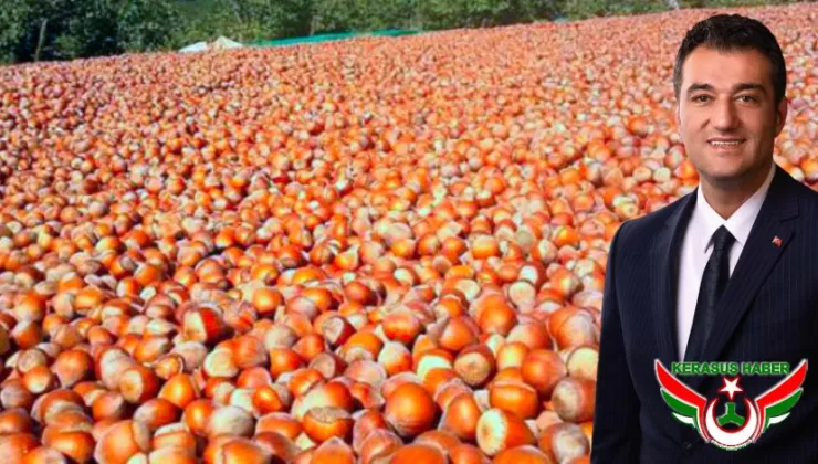 “200 TL, Fındık Maliyetini Bile Karşılamıyor”