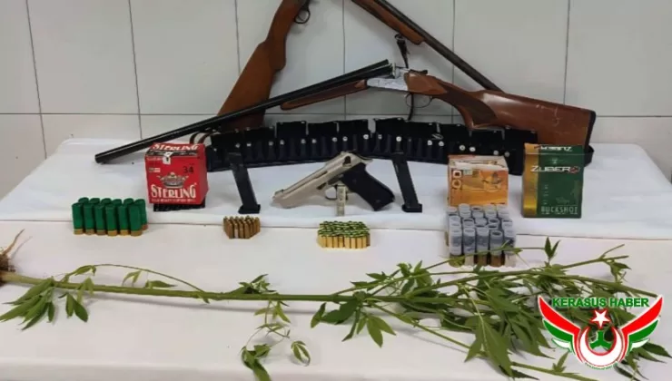 Jandarma’dan; Çamoluk’ta Narkotik Operasyonu: 2 Gözaltı