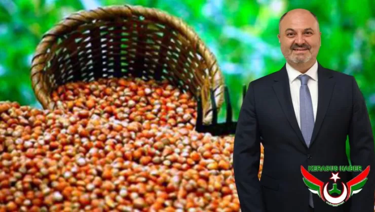 “Fındık, 5 Dolar’a Yükselerek Rekor Kırmıştır”