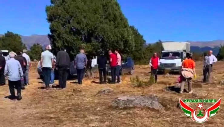 Alucra Parak Köyü Yaylası’nda Orman Vasfı İncelemesi