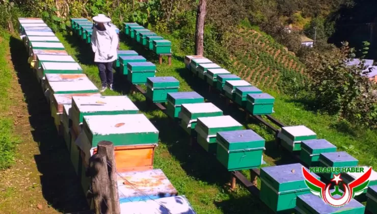 Arılı Kovan (Arıcılık) Desteği Müracaatları Başladı