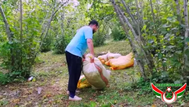 “Fındık Bahçelerinde Çalışan İşçilerde Bel Fıtığı Vakaları Artıyor”