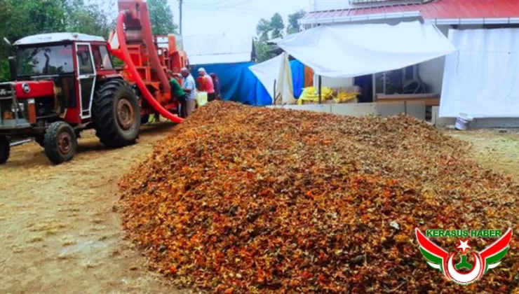 “Fındık Zurufu, Kompost Yapılarak Bahçelerde Gübre Olarak Değerlendirilmelidir”