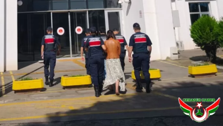 Jandarma’dan; Bulancak’ta Fındık Hırsızlığı Operasyonu