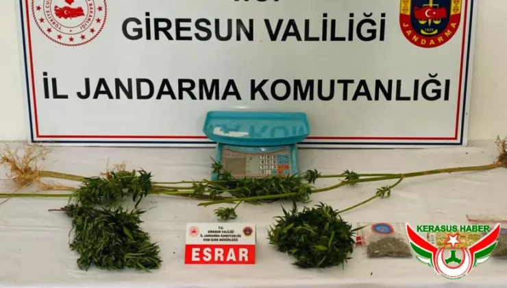 Jandarma’dan; Merkez, Bulancak, Espiye ve Görele’de Uyuşturucu Operasyonu