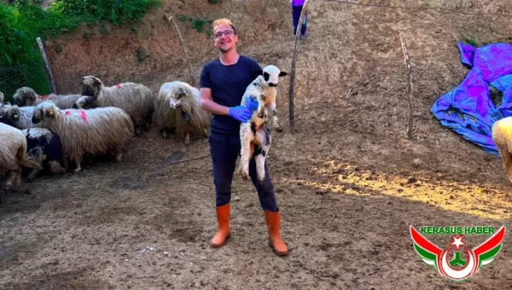 Kuzu / Oğlak (Küçükbaş) Desteği 1. Dönem Müracaatları Başladı