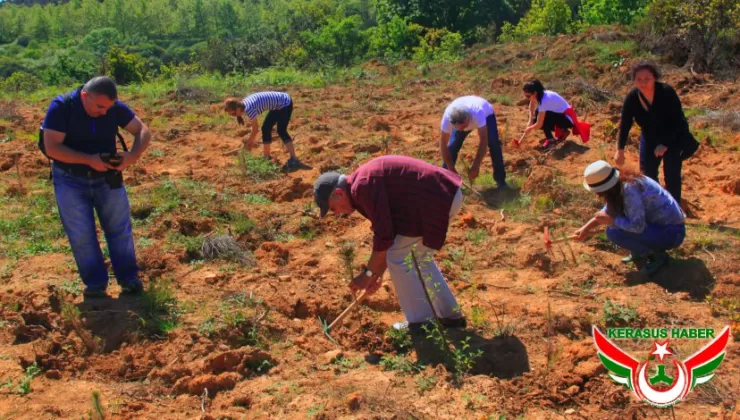 “Yanan Alanlarda Fidan Dikiminde Acele Edilmemeli”