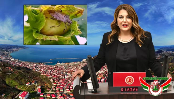 “Halk Sağlığı Ciddi Tehdit Altında!”