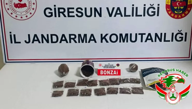 Jandarma’dan; Bulancak’ta Uyuşturucu Operasyonu: 1 Tutuklama