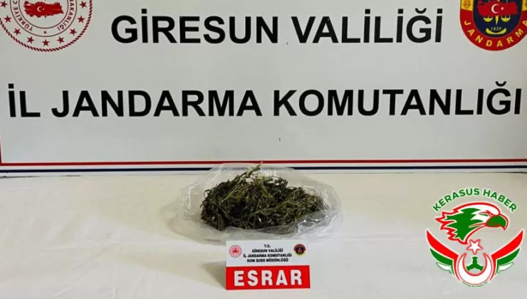 Jandarma’dan; Bulancak’ta Uyuşturucu Operasyonu: 1 Tutuklama