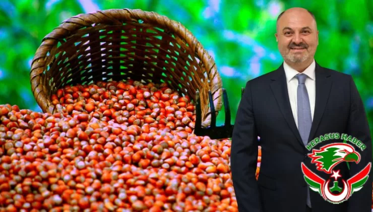 “Fındık Üreticilerimize Destek Ödemeleri Başladı”