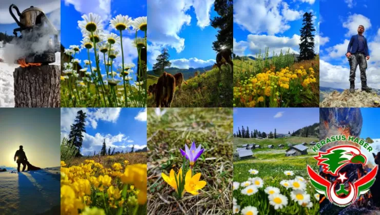 Alucra Doğasından Fotoğraf Kareleri…