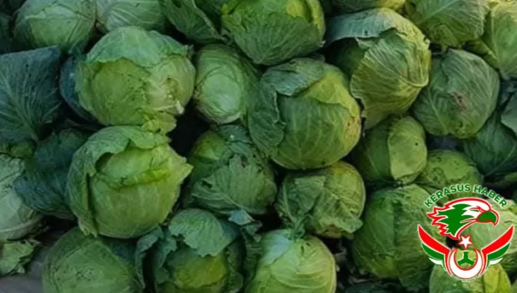 Alucra Kelemi Tescil Edilmeli