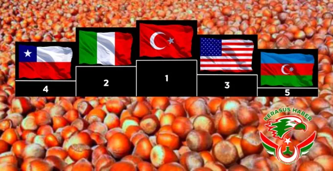 Fındık Üretiminde Lider Ülke, Türkiye…