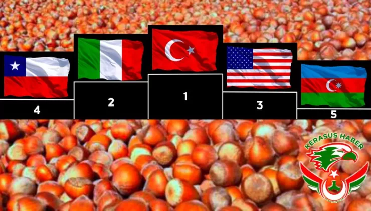 Fındık Üretiminde Lider Ülke, Türkiye…