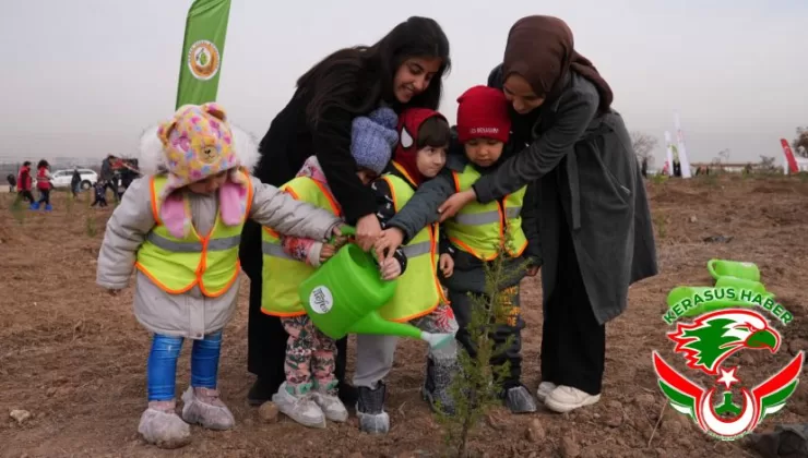 OGM’den, Milli Ağaçlandırma Günü Hazırlıkları