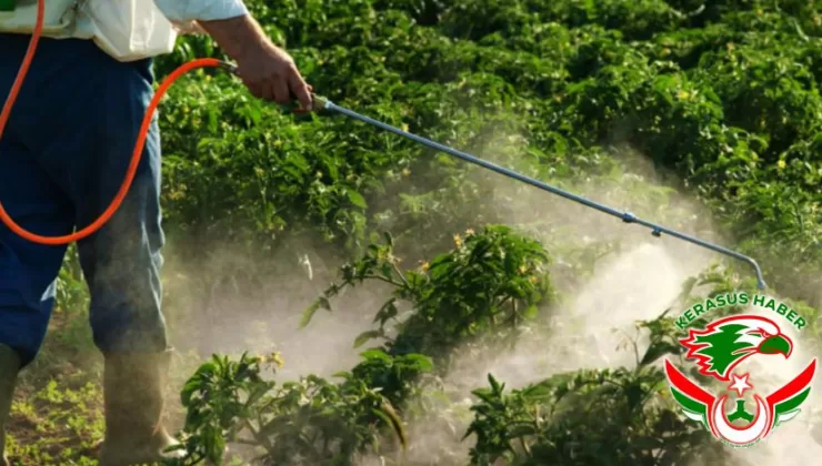 Sağlıklı Beslenmenin Görünmeyen Tehdidi: Pestisit