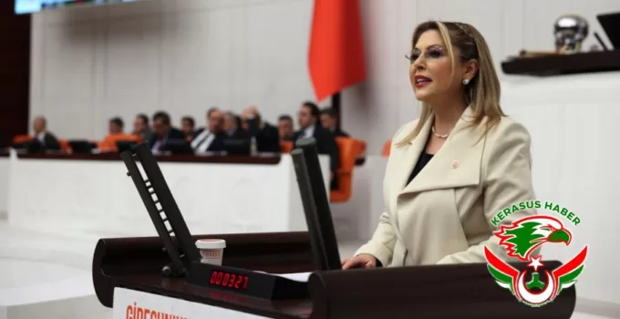 “Emekli Maaşı Lütuf Değil, Haktır”