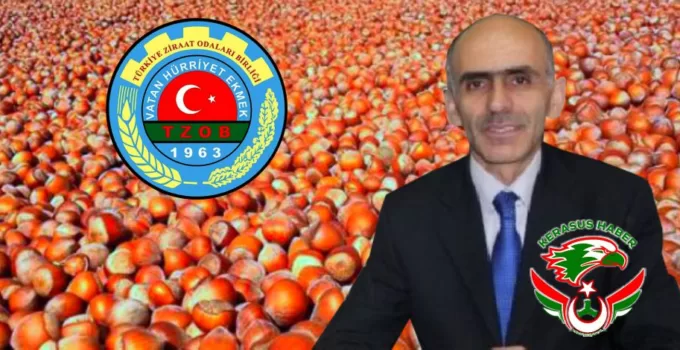 “Fındık Üreticisi Sahipsiz Kalmıştır”