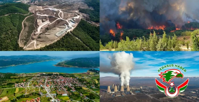 TEMA Vakfı 2025’in Çevre Olaylarını Değerlendirdi