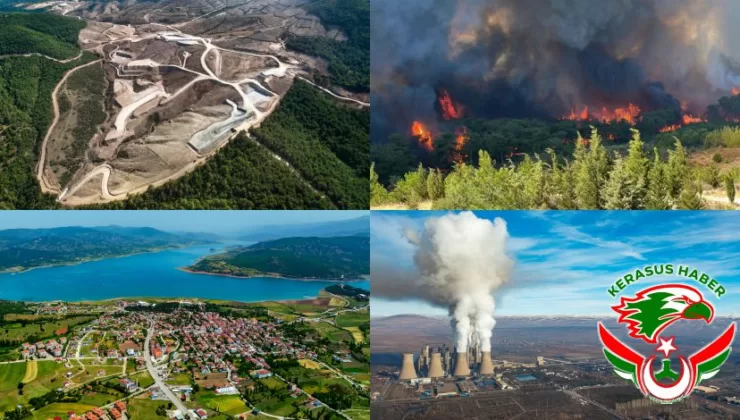 TEMA Vakfı 2025’in Çevre Olaylarını Değerlendirdi