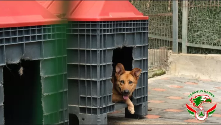 Giresun Belediyesi’nden 2025 Yılında Örnek Çalışma