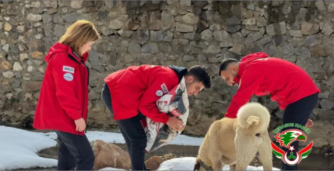 AKUT’tan Sokak Hayvanlarına Şefkat Eli…