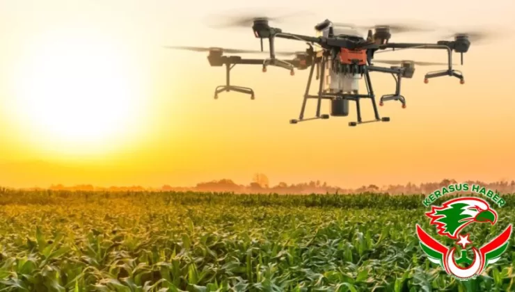 Giresun’da Kırsal Kalkınmaya Dev Destek